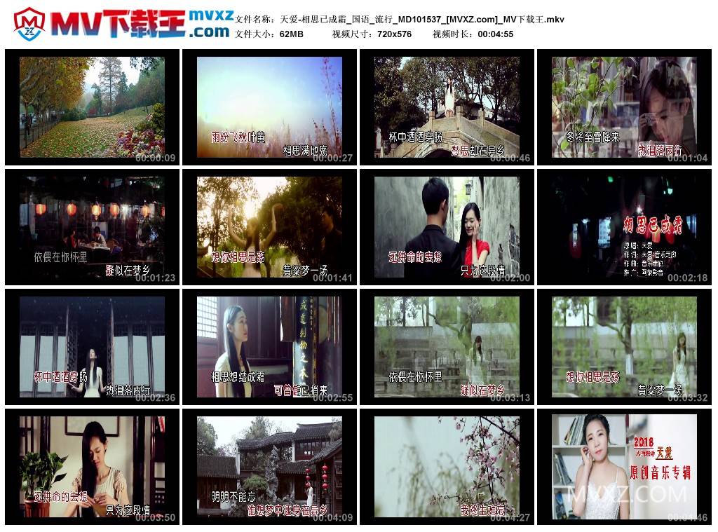 天爱-相思已成霜_国语_流行_MD101537